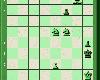 西洋棋棋題（991-1000）(16P)