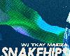 Snakehips & Tkay Maidza - Show Me The Money (8.2MB@320K@MEGA)(1P)